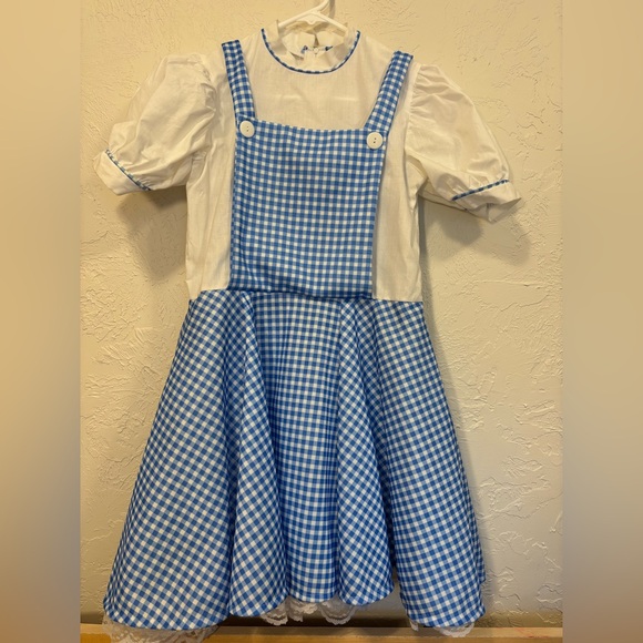 Turner Entertainment Co. Dresses & Skirts - Dorothy Wizard of Oz Costume Dress Blue Gingham Size Large